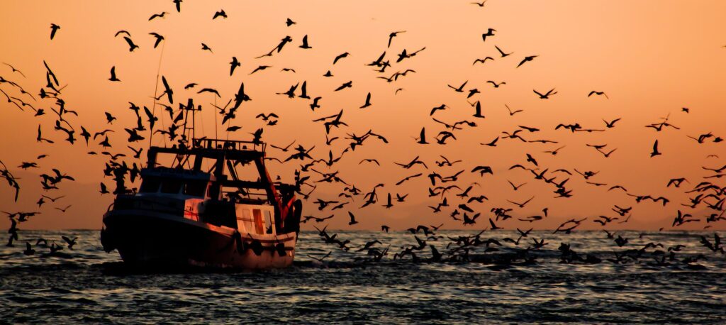 Las Jornadas de Cancillería y Pesca omiten la pesca ilegal en alta mar y Malvinas