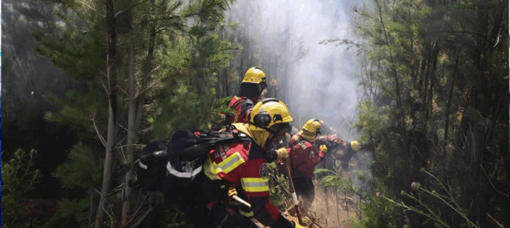 Incendios en la Patagonia: seis gobernadores exigieron al Congreso una ley de Emergencia Ígnea