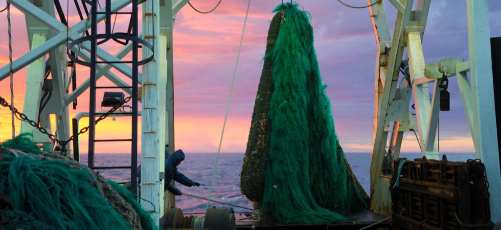 Pesca ilegal: Irrelevante forma de presumir