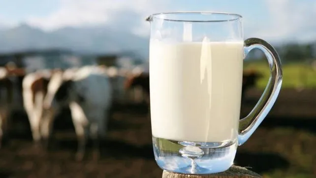Economía libertaria: el consumo de leche cayó un 5,8% en abril